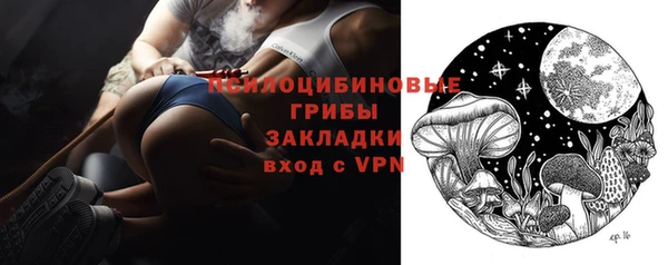 МДПВ Алзамай