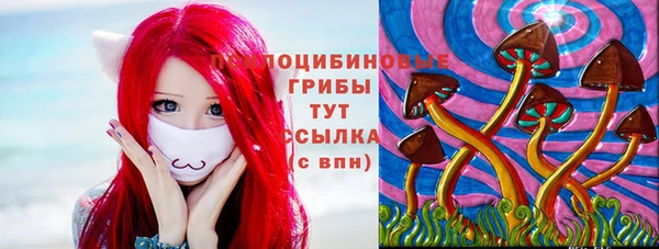 крисы Абинск